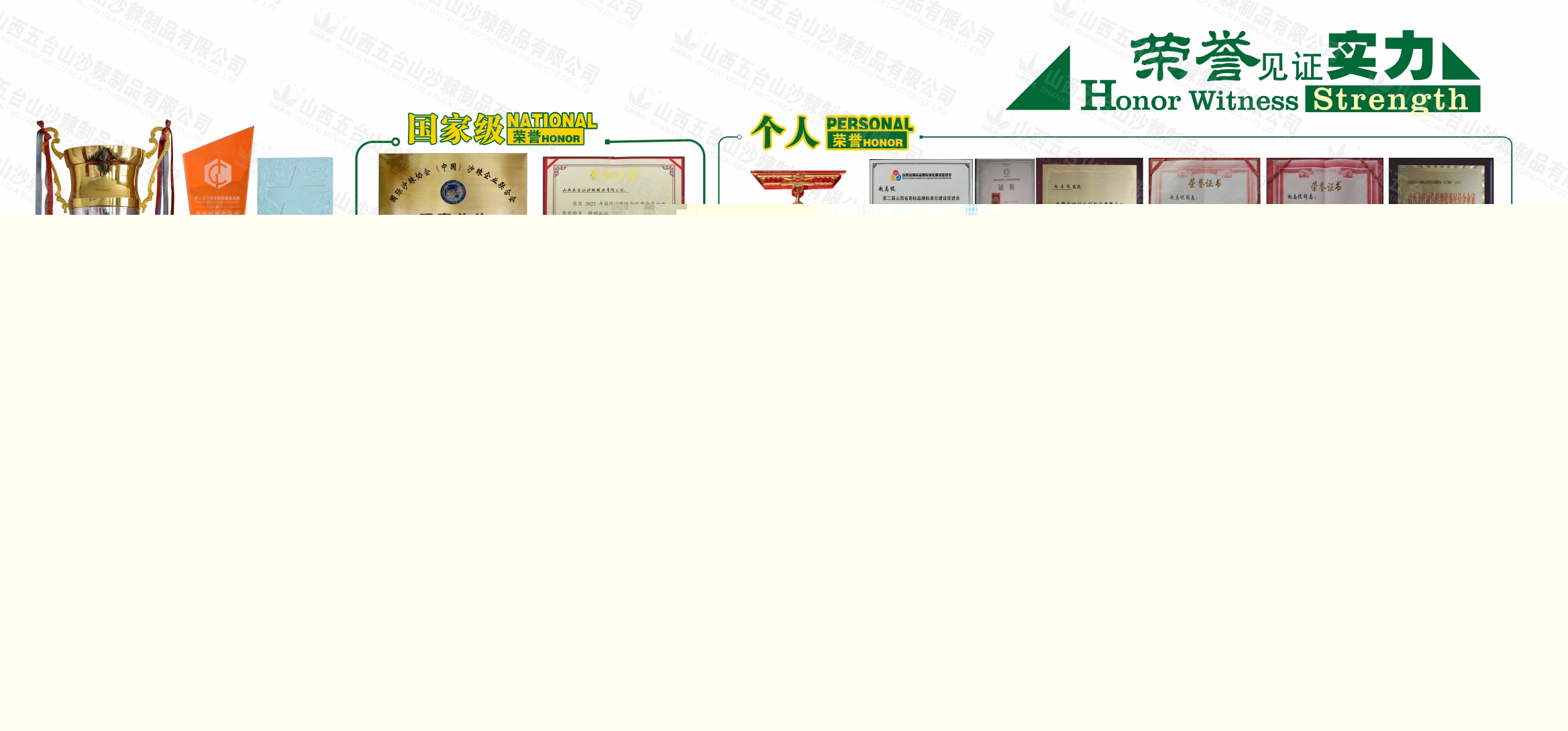 荣誉.jpg